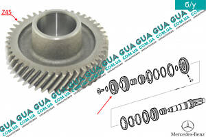 Шестерня Z45 (зубчатое колесо) 5 передачи вторичного вала КПП A2032630410 Mercedes / МЕРСЕДЕС VITO W639 2003- / ВИТО 639