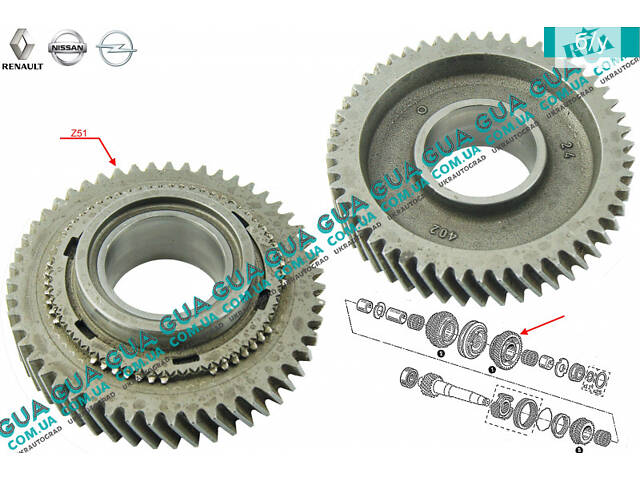 Шестерня Z51 (зубчасте колесо) 1 передача вторинного валу КПП 8200440073 Nissan/НІССАН INTERSTAR 1998-2010/ІНТЕРСТАР
