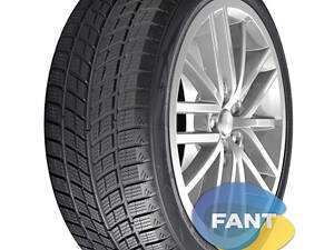 Шина зимняя Headway HW505 255/55 R19 107H