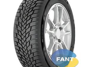 Шина зимняя Starmaxx PolarMaxx 205/55 R16 91H