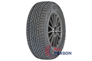 Шини Achilles Winter 101X 185/65 R14 86T