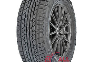 Шини Achilles Winter 101X 185/65 R14 86T