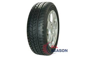 Шини Avon Ice Touring 225/55 R16 95H