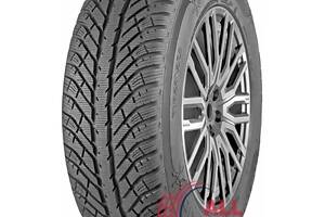 Шини  Cooper Discoverer Winter 205/55 R17 95V XL