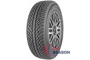 Шини Cooper Discoverer Winter 295/35 R21 107V XL