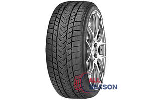 Шини Gripmax Status Pro Winter 265/30 R19 93V XL