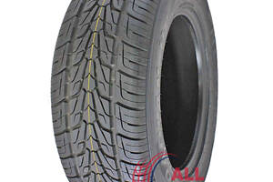 Шини Nexen Roadian HP 305/35 R24 112V XL