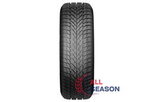 Шини Paxaro INVERNO 195/55 R16 87H