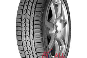 Шини Roadstone WinGuard Sport 205/50 R17 93V XL FR