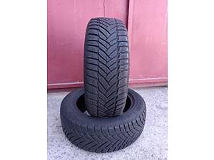 Шини зимові 205/55 r16 94H Dunlop