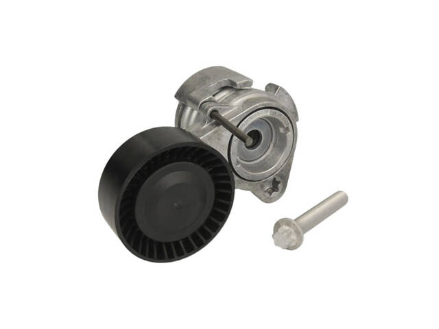 Натяжной шкив BMW 1 series 2003-2013 INA 534 0252 10 - Фото 1