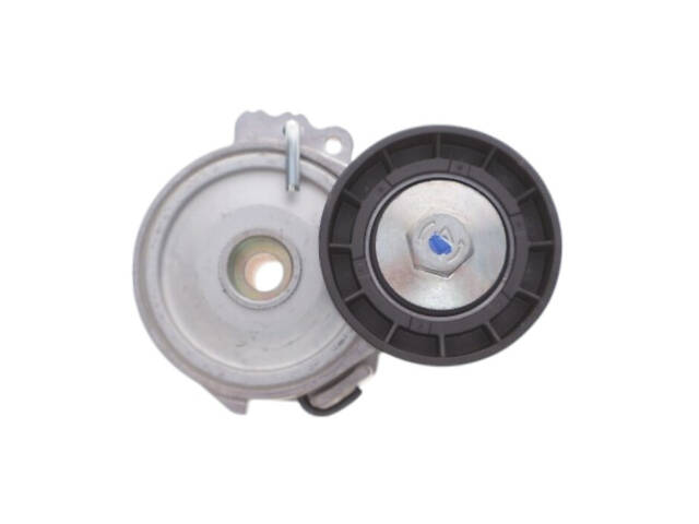 Натяжной шкив Iveco Massif 2008-2011 INA 534 0280 10 - Фото 1