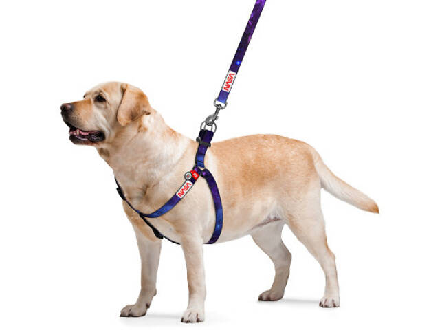 Повідок для собак WAUDOG Nylon з QR-паспортом 'NASA21' S (4800-0148) - Фото 2