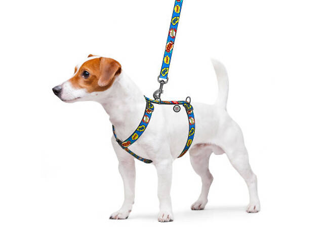 Повідець для собак WAUDOG Nylon з QR паспортом анатомічний H-подібний 'ВАУ' S (5606) - Фото 3