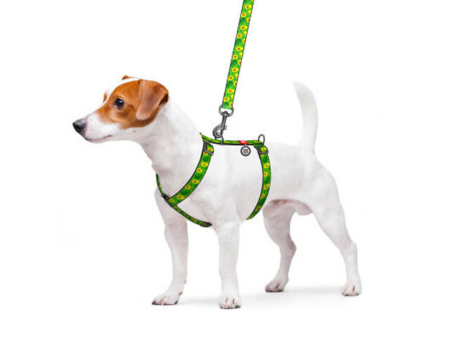 Повідець для собак WAUDOG Nylon з QR паспортом анатомічний H-подібний 'Авокадо' M (5550) - Фото 3