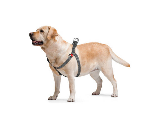 Повідок для собак WAUDOG Re-cotton з QR-паспортом S сірий (032411) - Фото 5