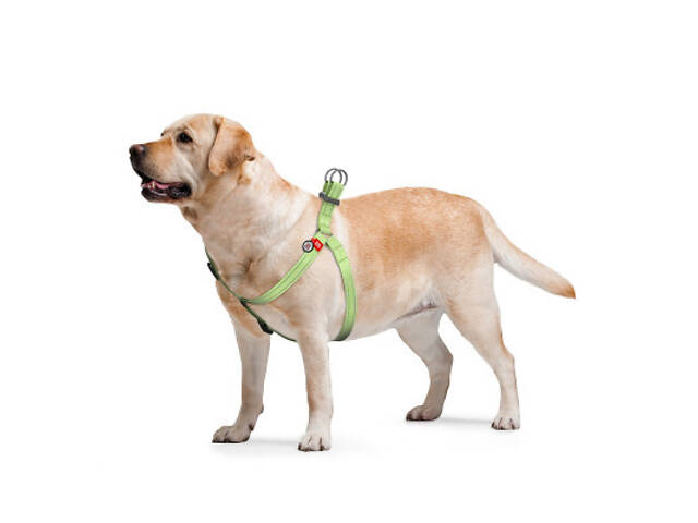 Повідок для собак WAUDOG Re-cotton з QR-паспортом S салатовий (03245) - Фото 5