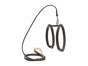 Шлея Collar с поводком для мелких собак 14мм А:27х35смВ:35х45см/122см Черный