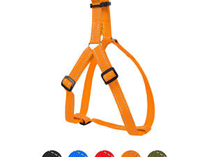 Шлея Dog Extreme з нейлону регульована (ширина 25мм, В:60-90см) помаранчевий