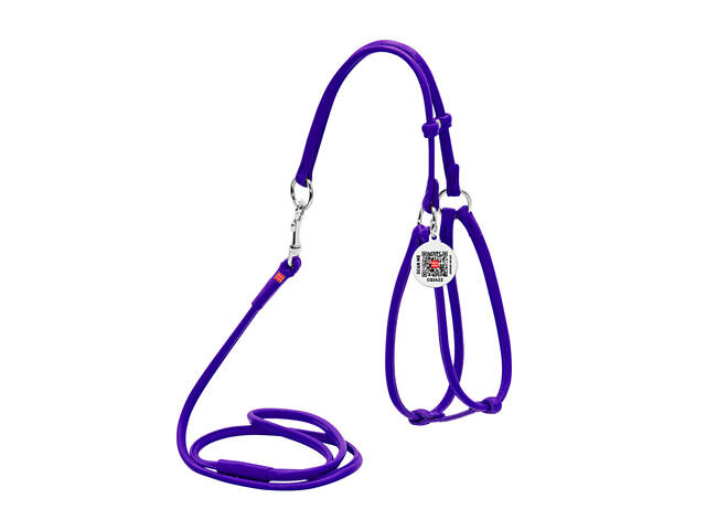 Шлея з повідком для собак шкіряна WAUDOG Glamour Кругла Д 6 мм А 42-60 см В 46-64 см Фіолетовий - Фото 1