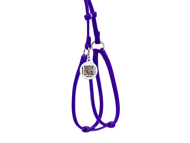 Шлея з повідком для собак шкіряна WAUDOG Glamour Кругла Д 6 мм А 42-60 см В 46-64 см Фіолетовий - Фото 2