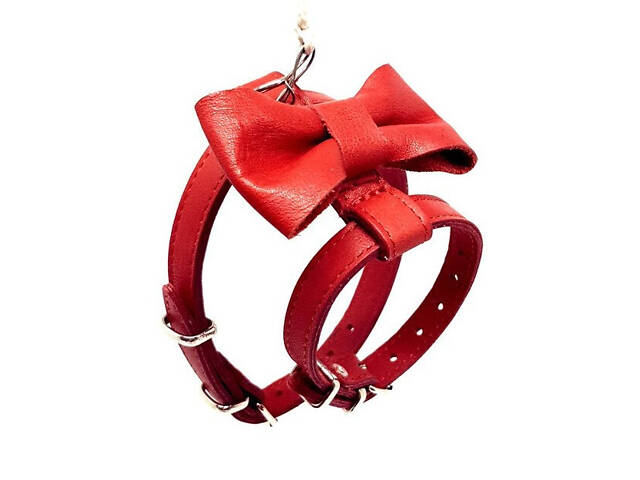 Шлейка Бабочка для животных - Фото 1