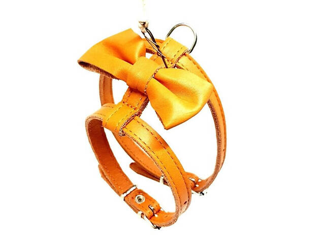 Шлейка Бабочка для животных - Фото 3