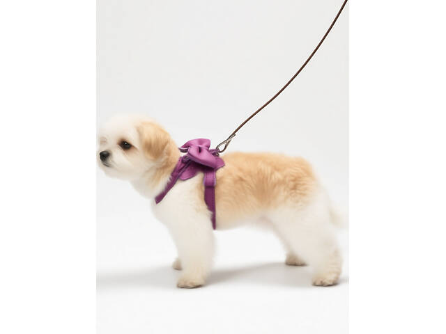 Шлейка Бабочка для животных - Фото 6