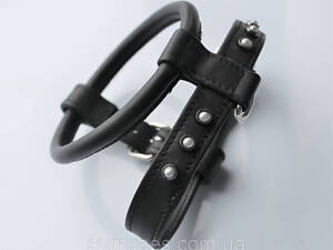 Шлейка для небольших пород собак 'Lockdog' черная с бусинами