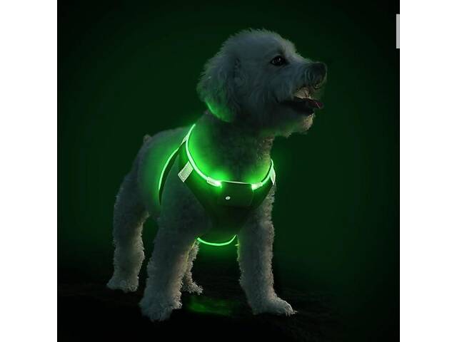 Шлейка для собак PcEoTllar з підсвіткою, зелена, xs