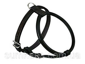 Шлейка для собаки 'Lockdog' с закругленными краями черная