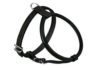 Шлейка для собаки 'Lockdog' с закругленными краями черная