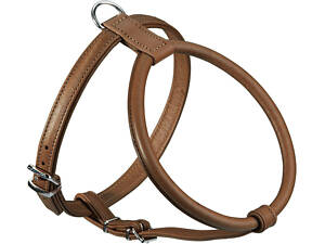 Шлейка для собаки 'Lockdog' с закругленными краями Hunter XS