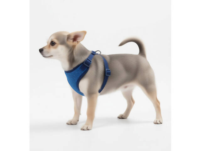 Шлейка жилет Спорт 0 - Фото 2