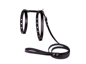 Шлейка и поводок для небольших пород собак 'Lockdog'