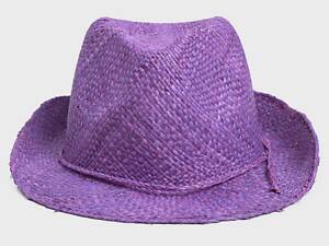 Капелюх унісекс Le Comptoir de la Plage Borsalino_VIO One size Фіолетовий (ZIK0000027579)