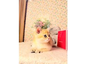 Шотландський хлопчик