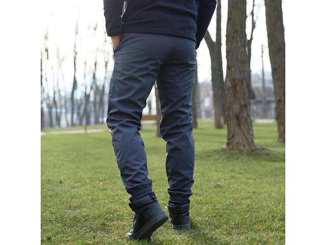 Штаны мужские soft shell 'Basic' Intruder серые - Фото 2