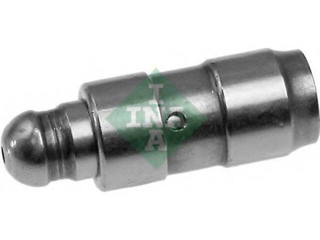 Штовхач INA 420009010 на BMW X5 (E70) - Фото 1