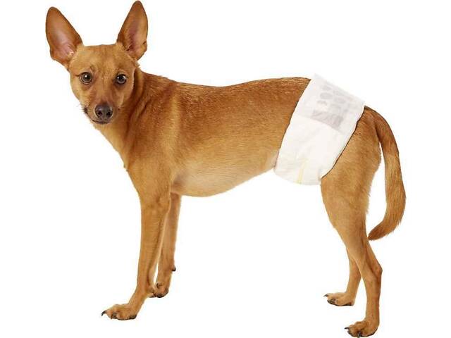 Simple Solution Disposable Male Wraps (Симпл Солюшн Диспосбл) Поглинаючі пояси-протекторы для кобелів. - Фото 2