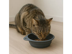 Складна силіконова миска тарілка для годування котів та собак