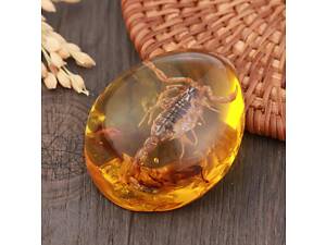 Скорпион в янтаре 5.5*4 см янтарный камень с насекомым, инклюзы в янтаре, имитация янтаря