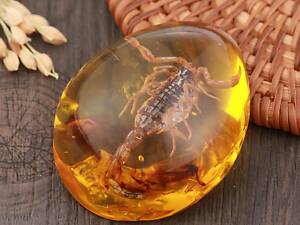 Скорпіон у бурштині 5.5*4 см бурштиновий камінь з комахою, інклюзи в бурштині, імітація бурштину