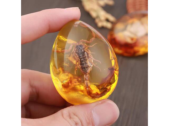 Скорпіон у бурштині 5.5*4 см бурштиновий камінь з комахою, інклюзи в бурштині, імітація бурштину - Фото 2