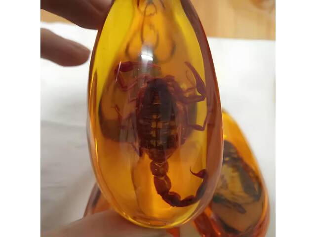 Скорпіон у бурштині 5.5*4 см бурштиновий камінь з комахою, інклюзи в бурштині, імітація бурштину - Фото 3