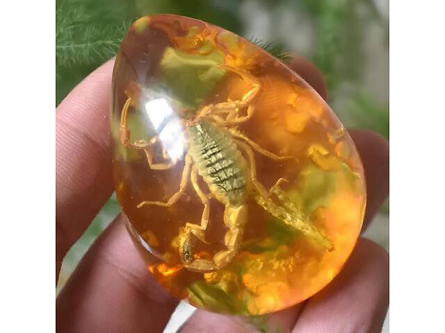 Скорпіон у бурштині 5.5*4 см бурштиновий камінь з комахою, інклюзи в бурштині, імітація бурштину - Фото 4