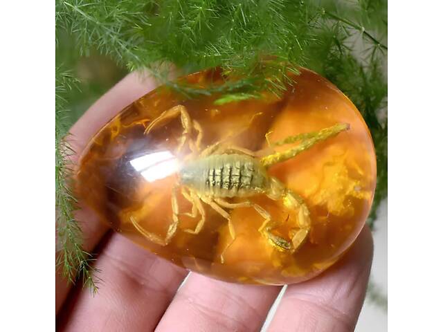 Скорпіон у бурштині 5.5*4 см бурштиновий камінь з комахою, інклюзи в бурштині, імітація бурштину - Фото 5