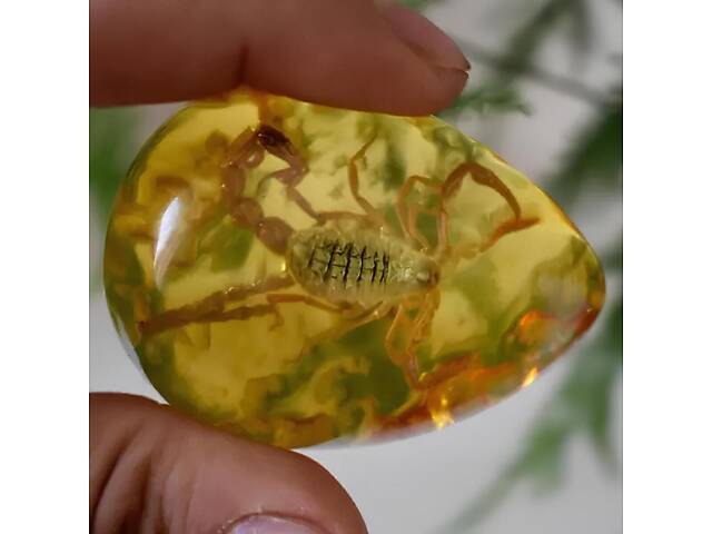 Скорпіон у бурштині 5.5*4 см бурштиновий камінь з комахою, інклюзи в бурштині, імітація бурштину - Фото 6