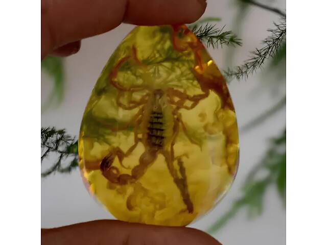 Скорпіон у бурштині 5.5*4 см бурштиновий камінь з комахою, інклюзи в бурштині, імітація бурштину - Фото 7