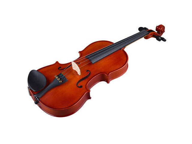 Скрипка Stentor Student Standard 4/4 (1018A) - Фото 4